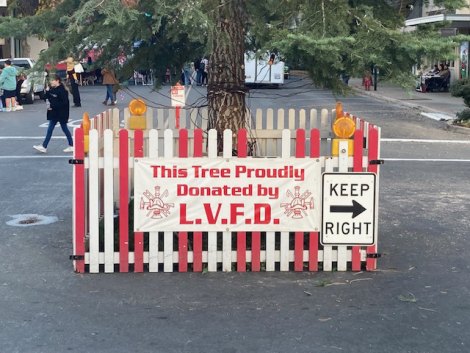The tree has been a gift of the Lemoore Volunteer Firefighters for nearly 100 years. 